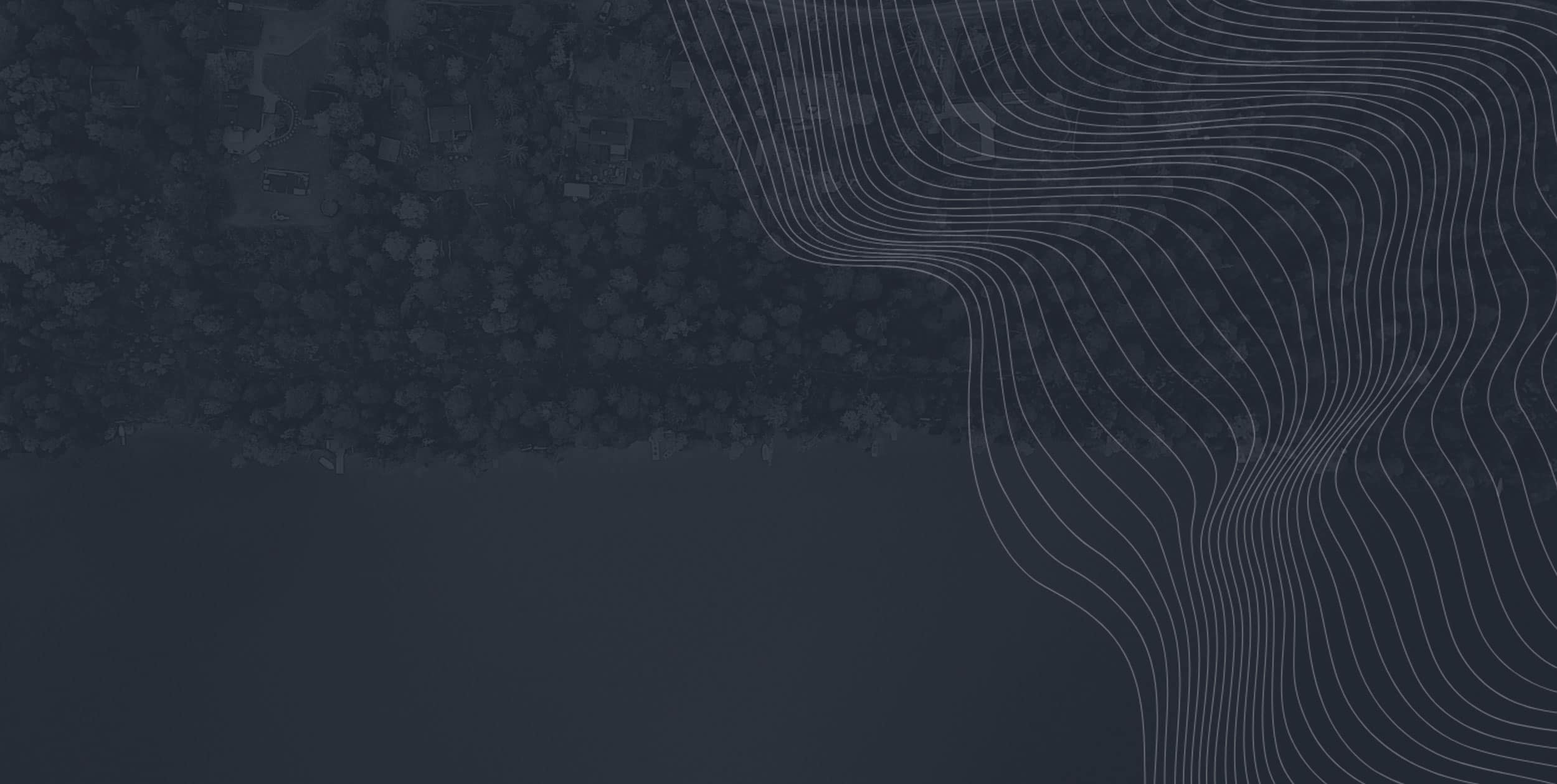 a background image with gray overlap of a picture of an aerial view of trees