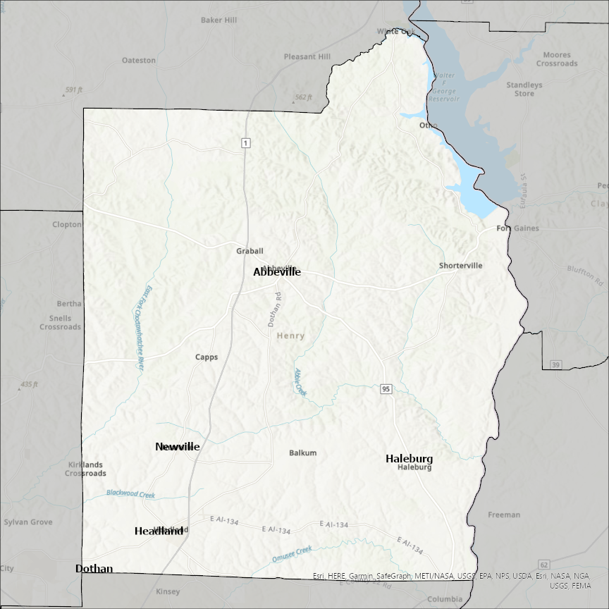 Image of Henry