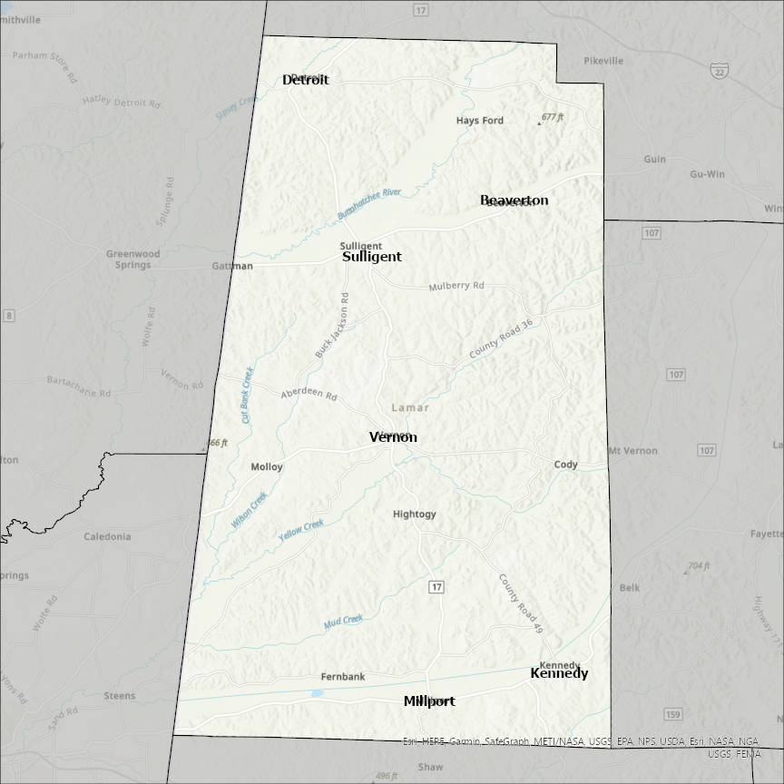 Image of Lamar