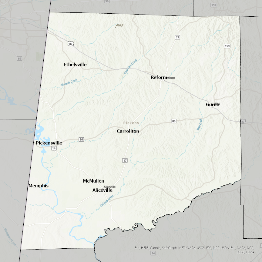 Image of Pickens