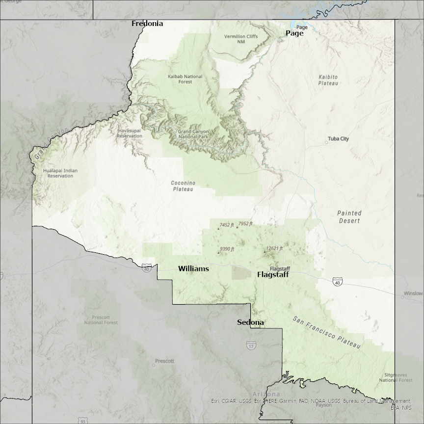 Image of Coconino