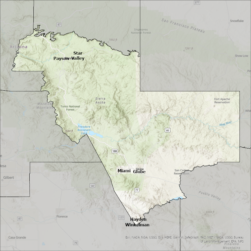 Image of Gila
