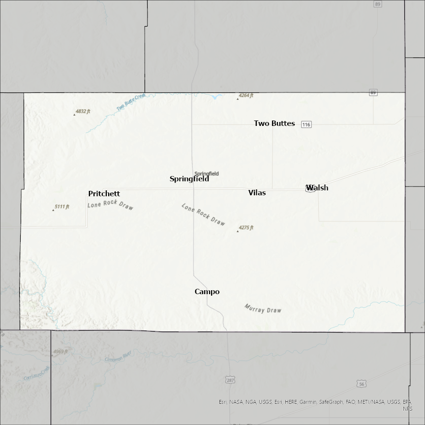 Image of Baca