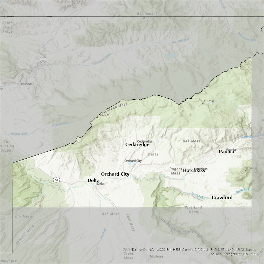 Image of Delta