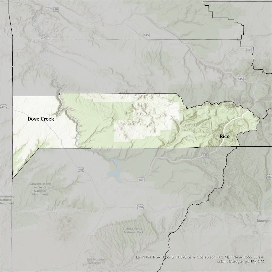 Image of Dolores