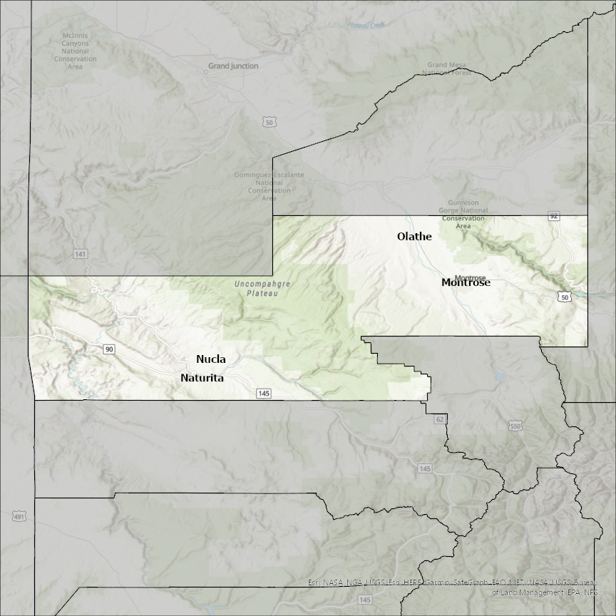 Image of Montrose