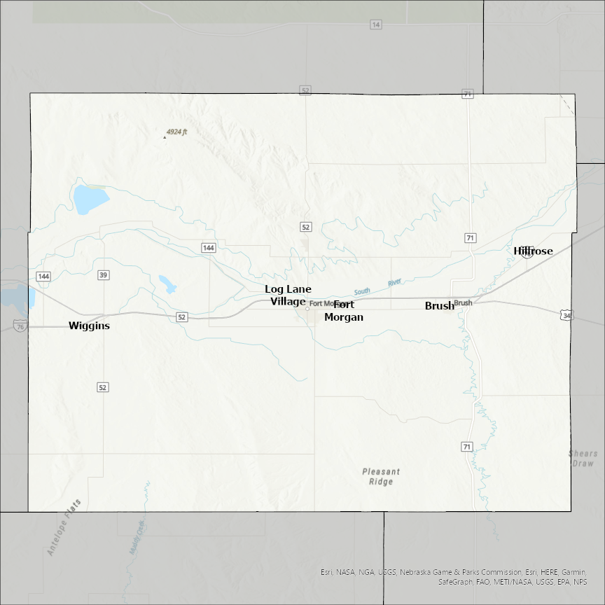 Image of Morgan