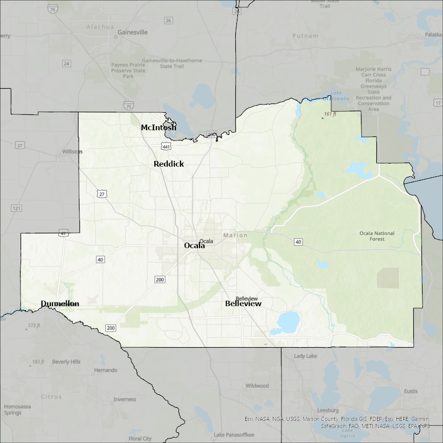 Image of Marion