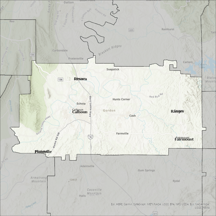 Image of Gordon