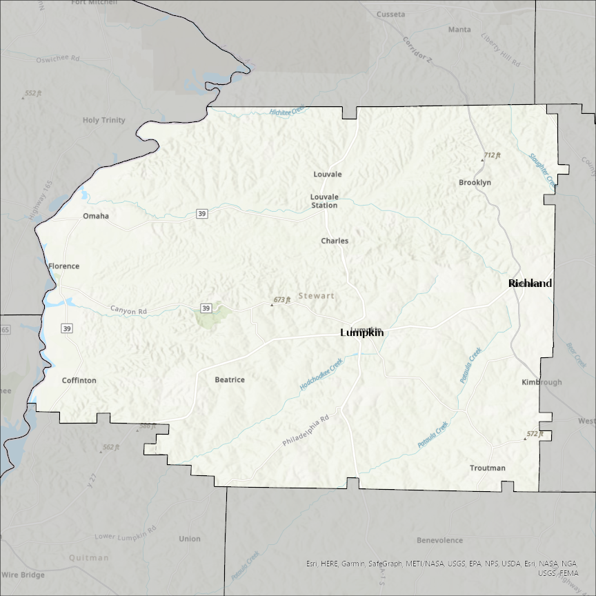 Image of Stewart
