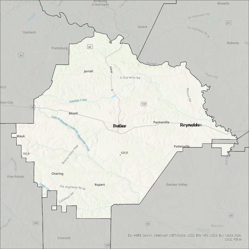 Image of Taylor