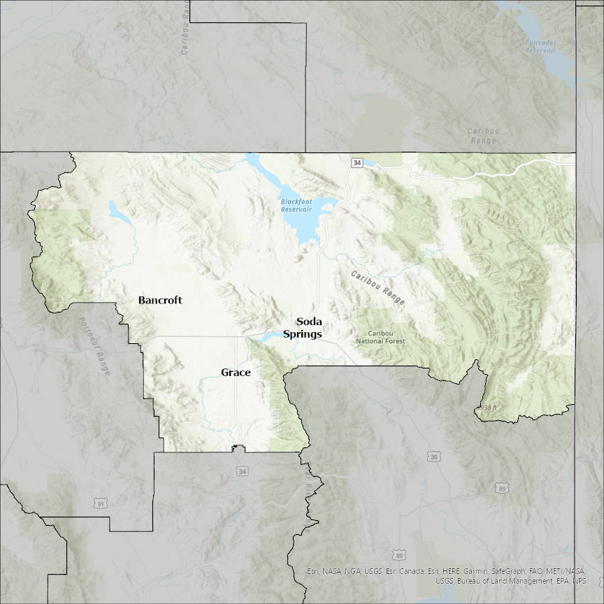 Image of Caribou