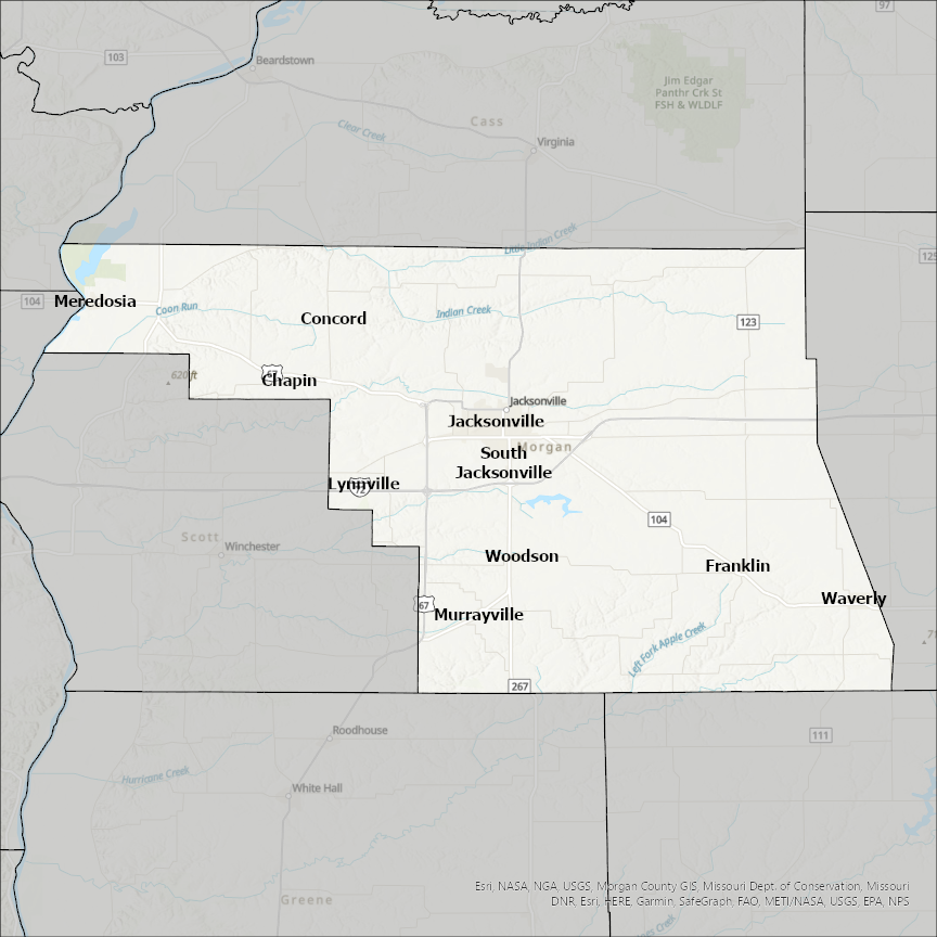 Image of Morgan
