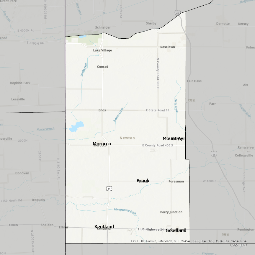 Image of Newton