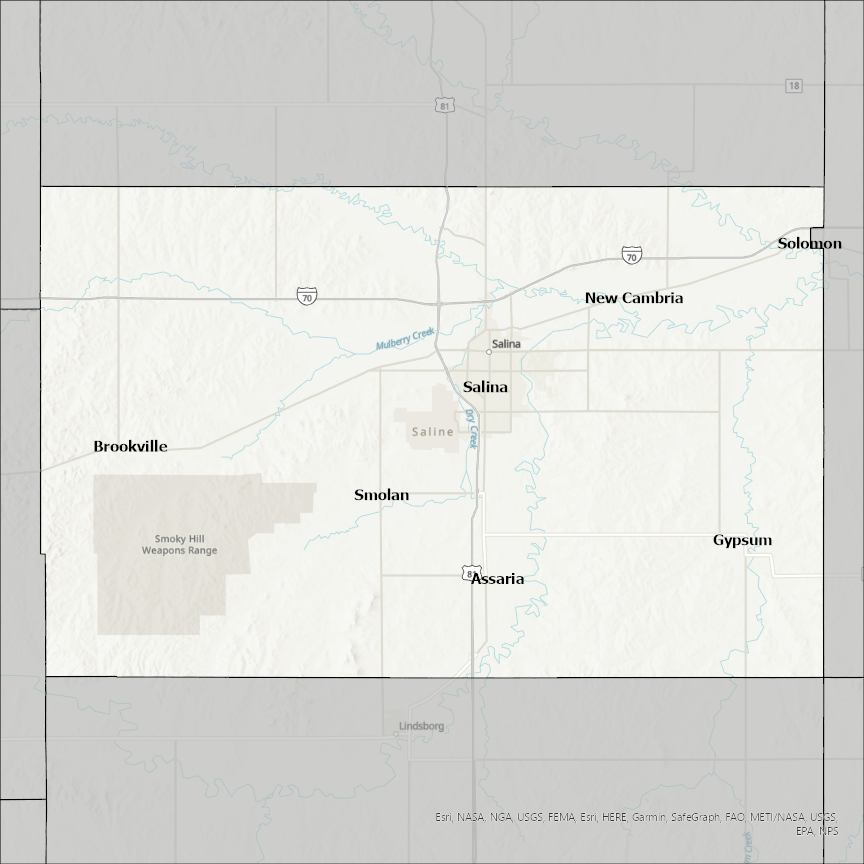 Image of Saline