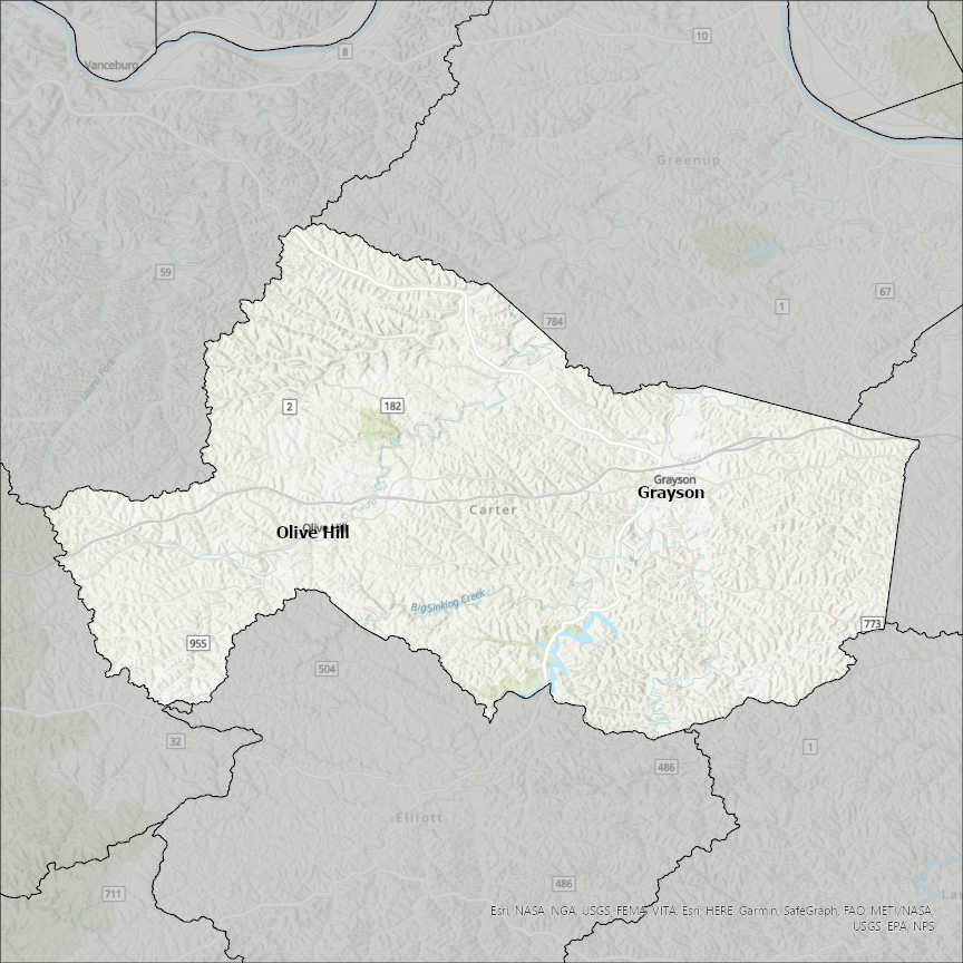 Image of Carter