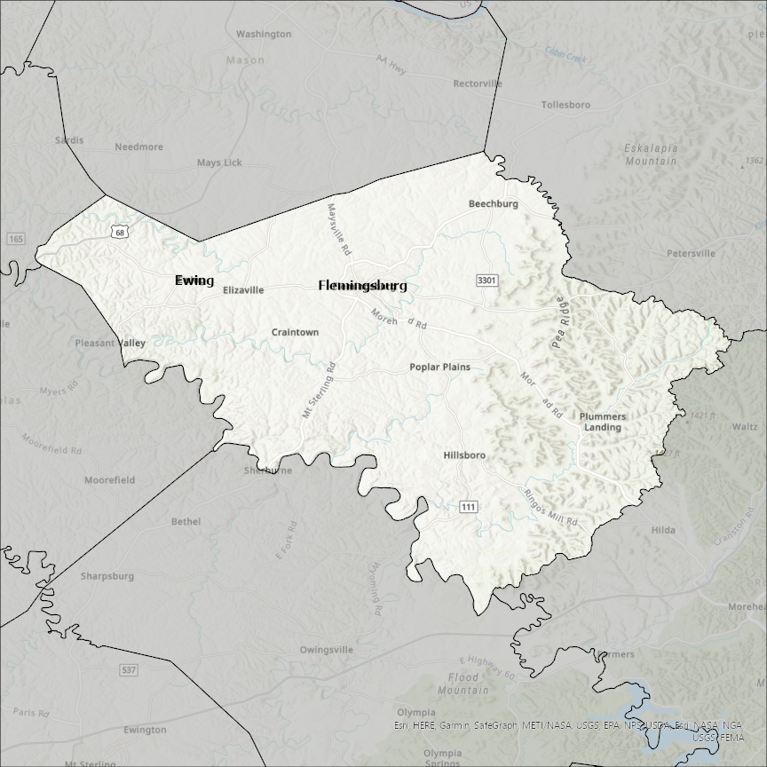 Image of Fleming