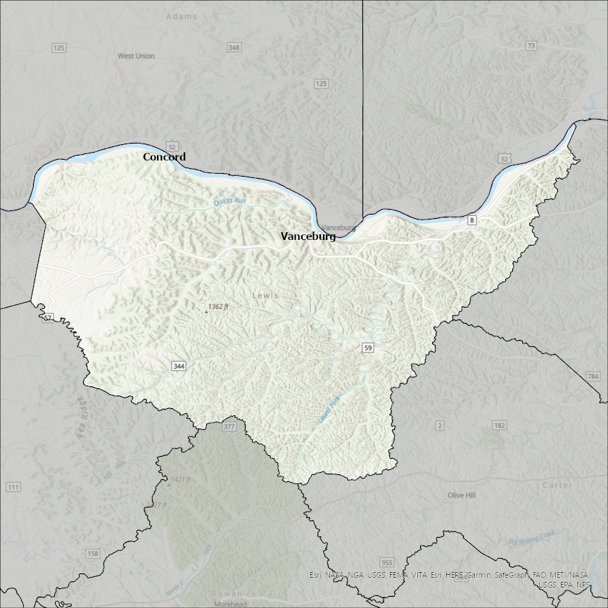 Image of Lewis