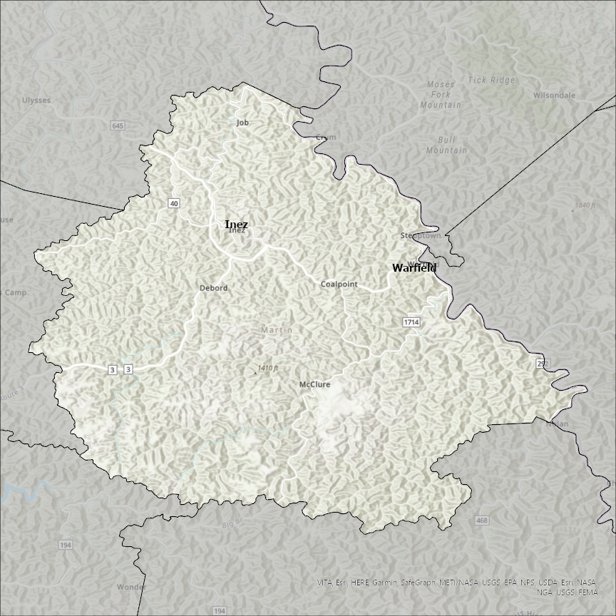 Image of Martin