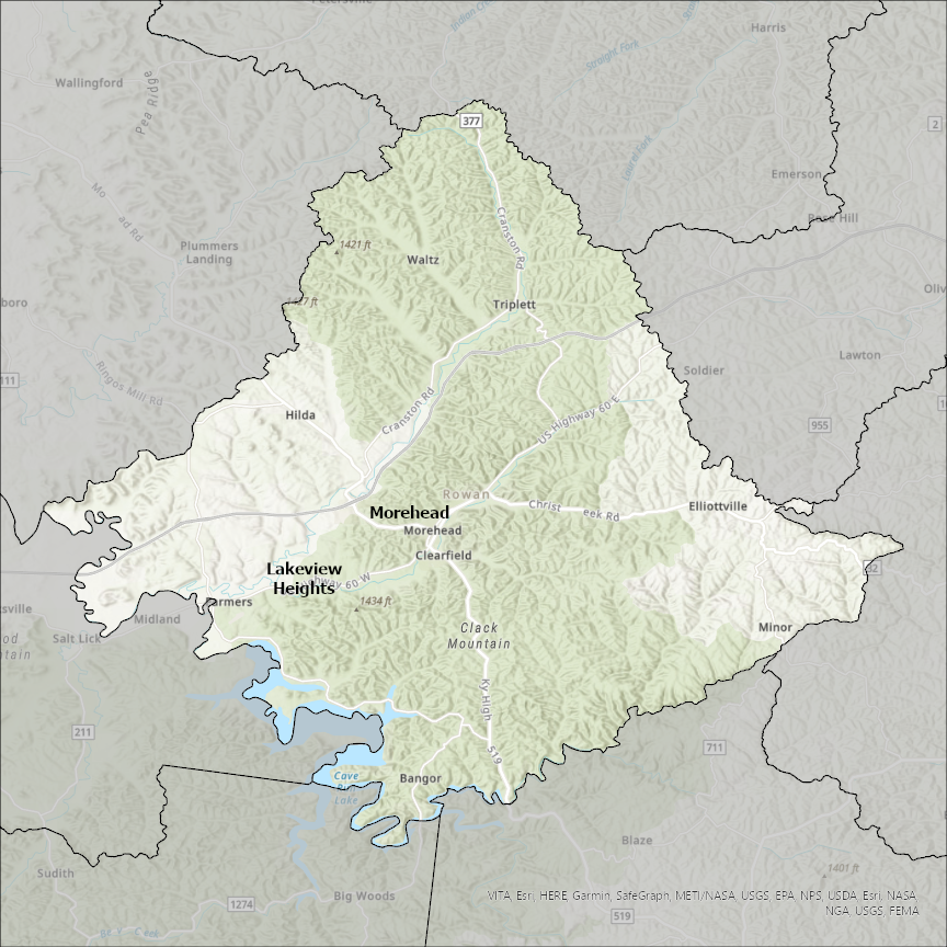 Image of Rowan