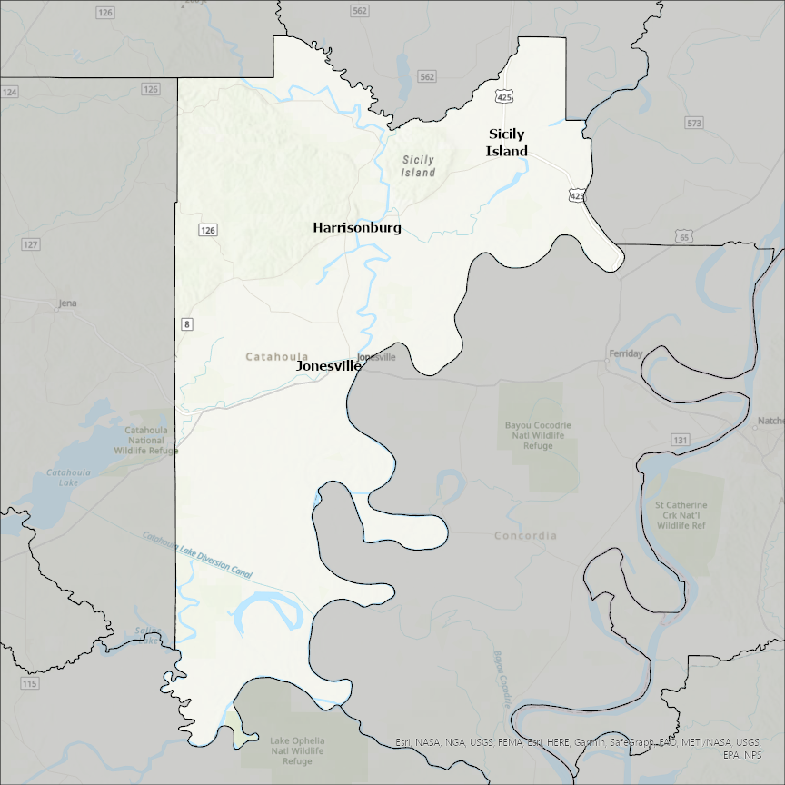 Image of Catahoula