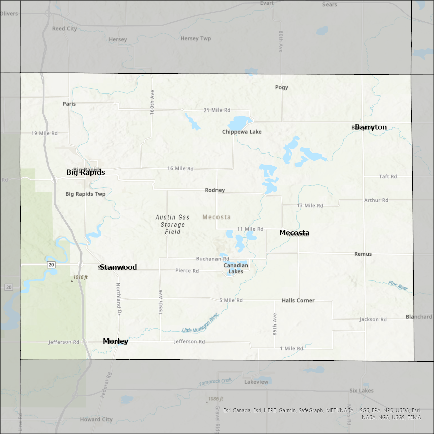 Image of Mecosta