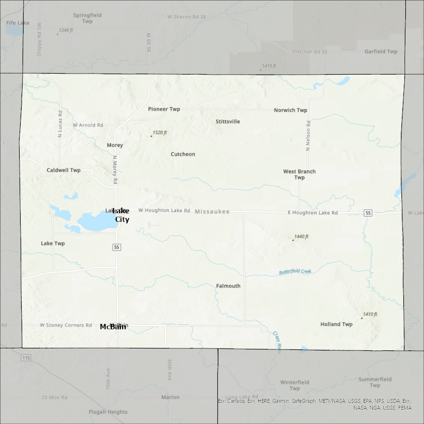 Image of Missaukee