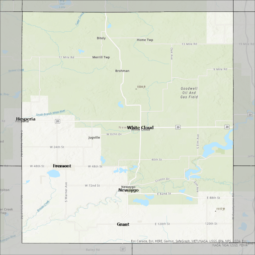 Image of Newaygo