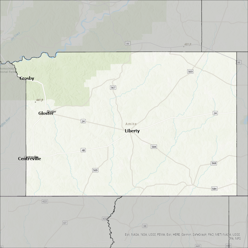 Image of Amite
