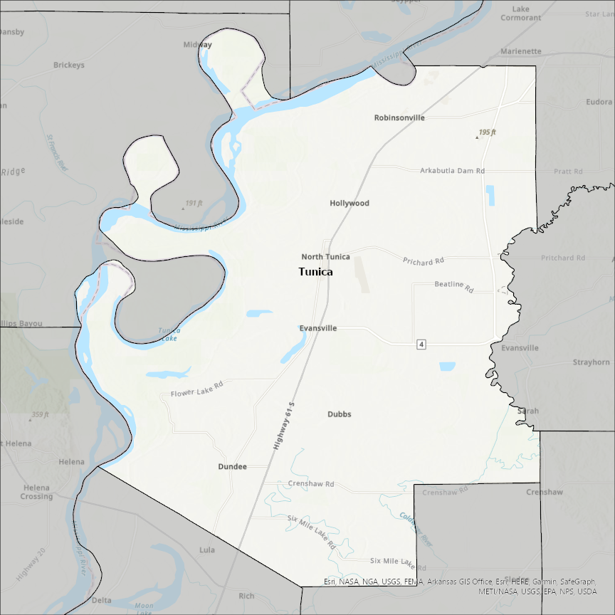 Image of Tunica