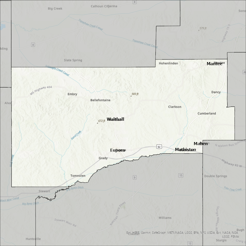 Image of Webster