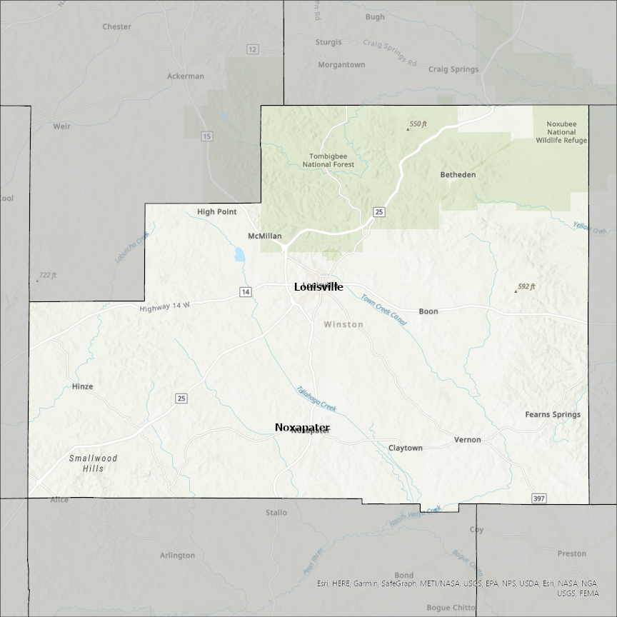 Image of Winston