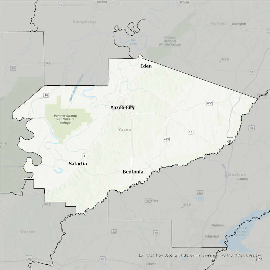 Image of Yazoo