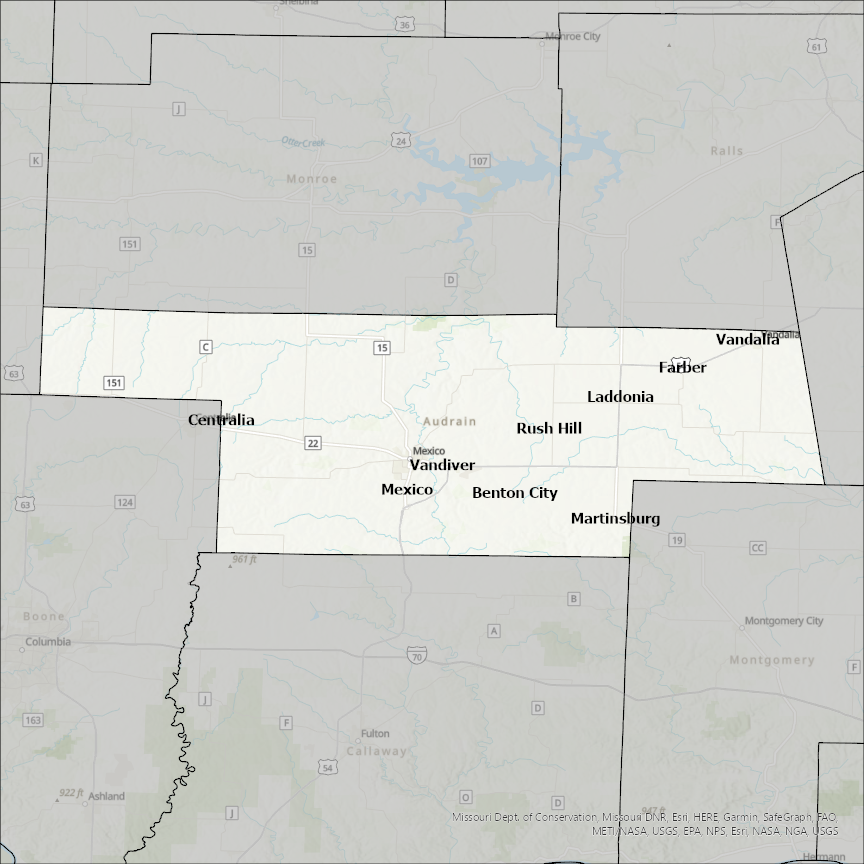 Image of Audrain