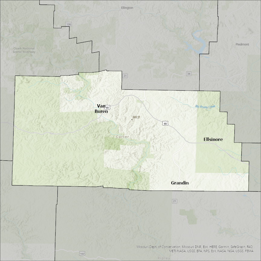 Image of Carter