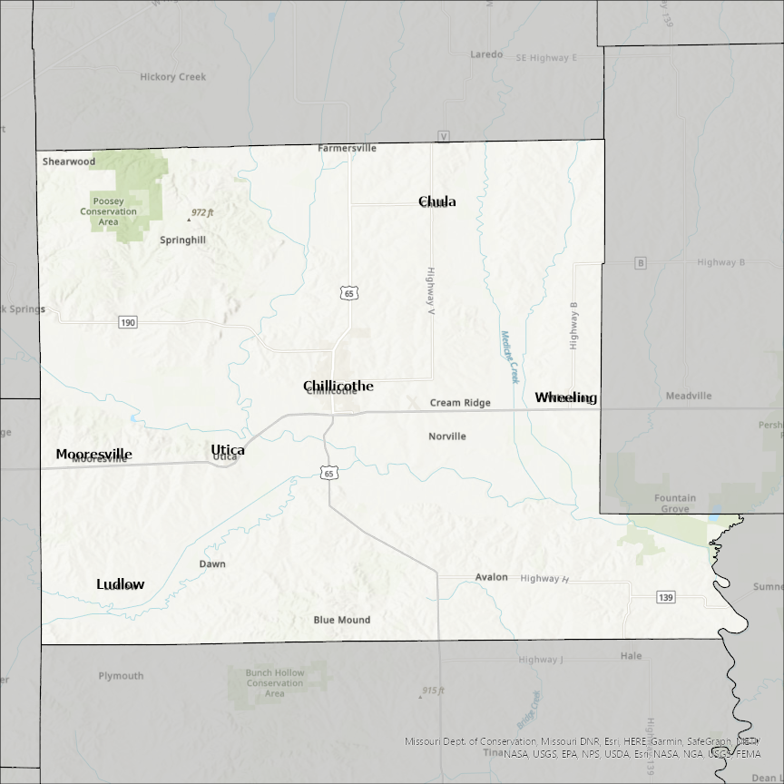 Image of Livingston