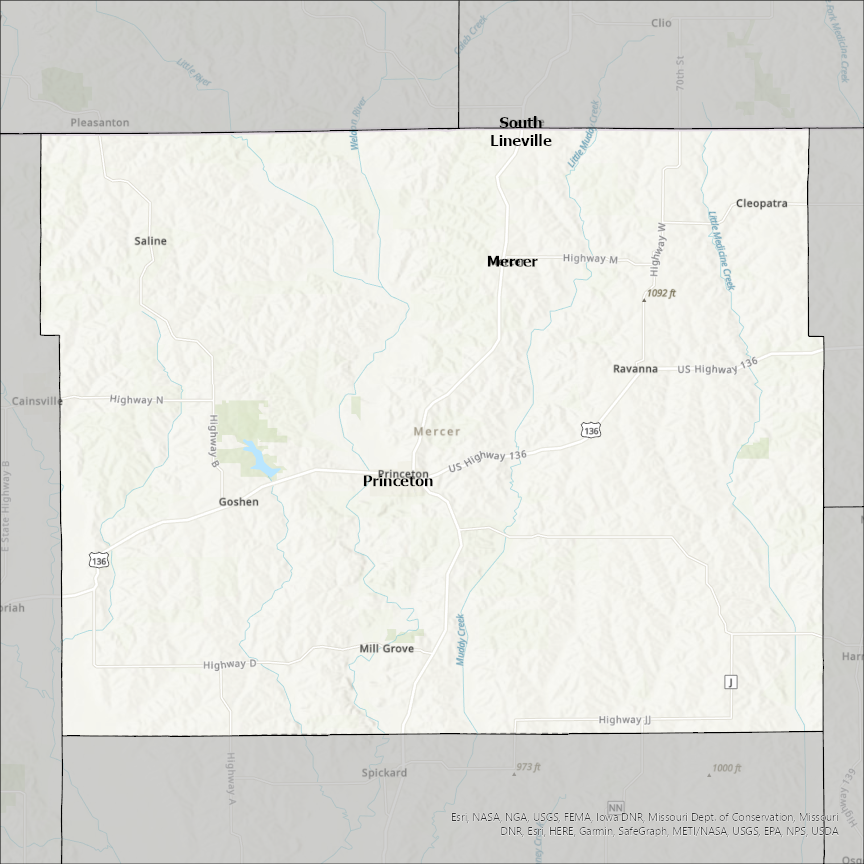Image of Mercer