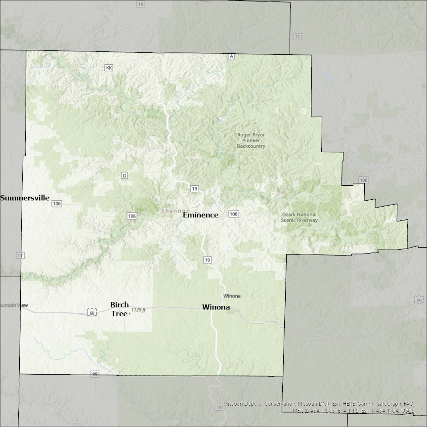 Image of Shannon