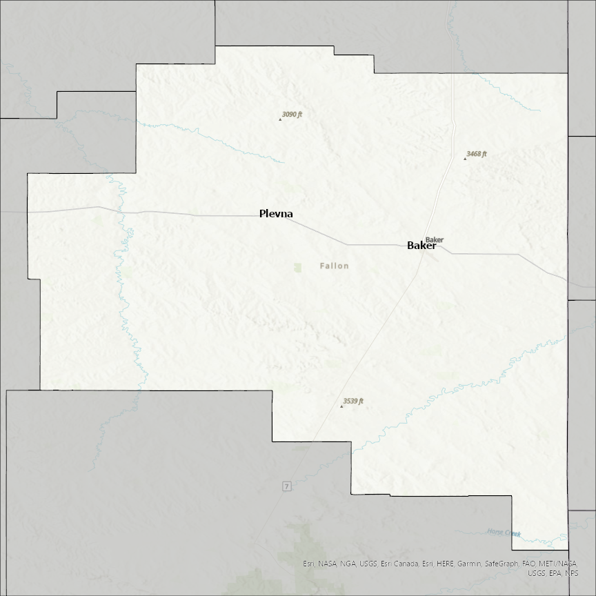 Image of Fallon