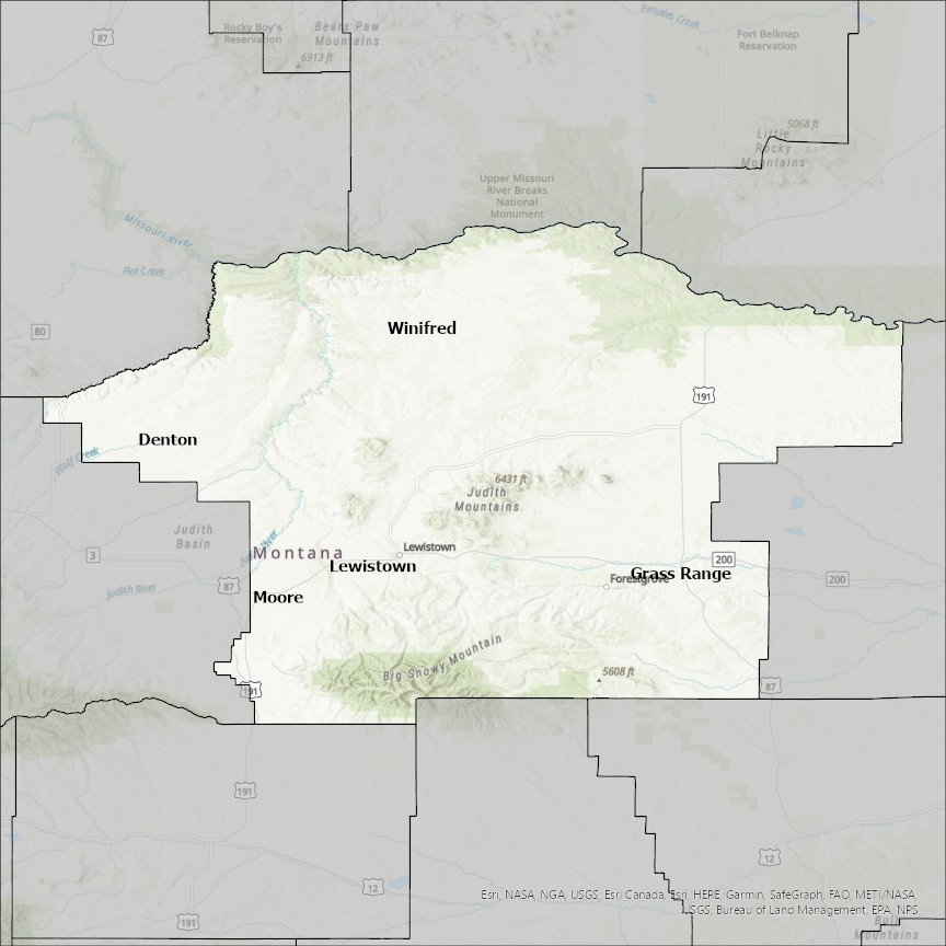 Image of Fergus