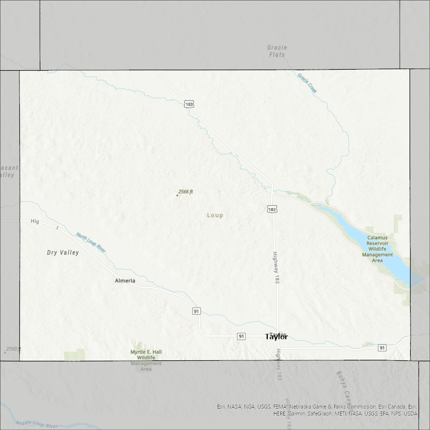 Image of Loup