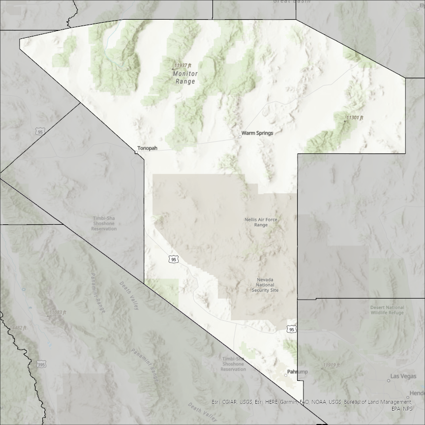 Image of Nye