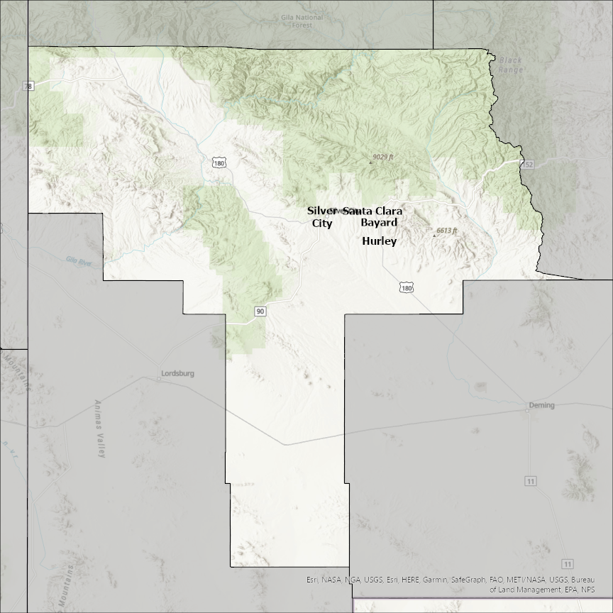 Image of Grant
