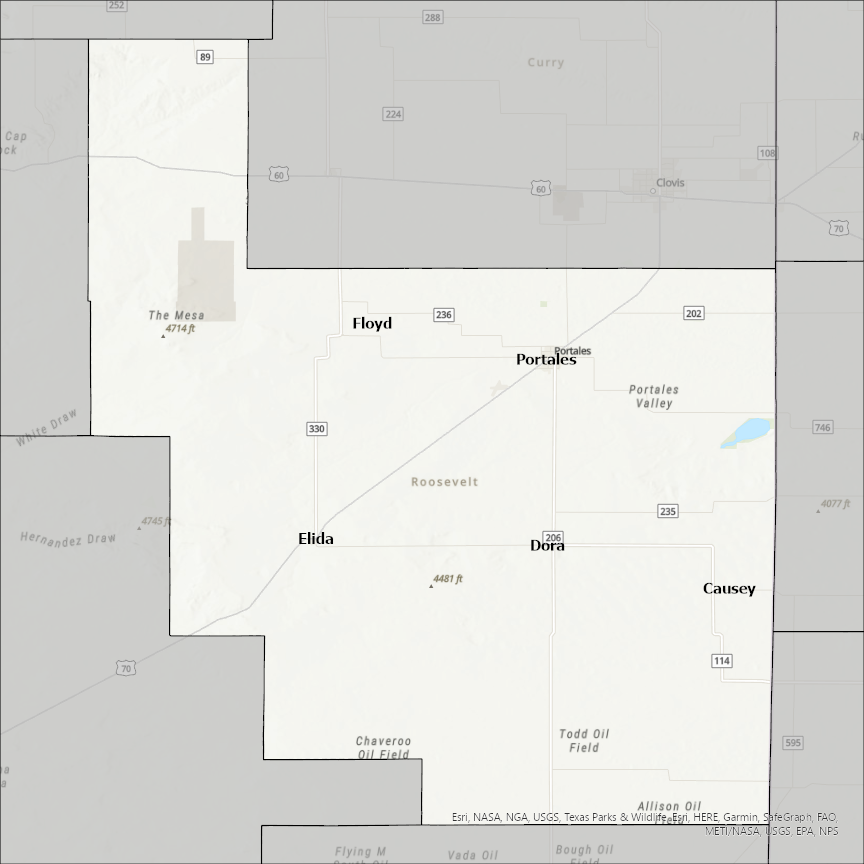 Image of Roosevelt