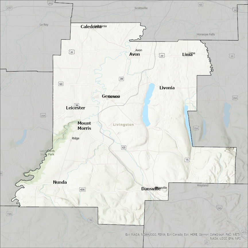 Image of Livingston