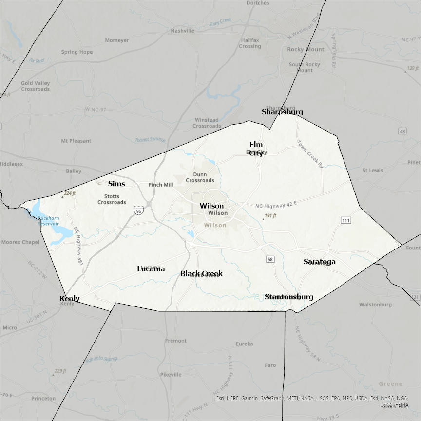 Image of Wilson
