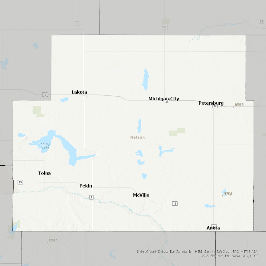 Image of Nelson