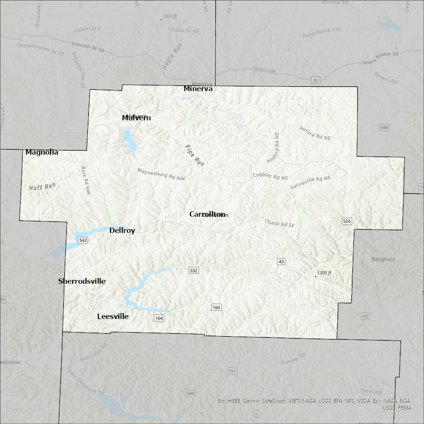 Image of Carroll