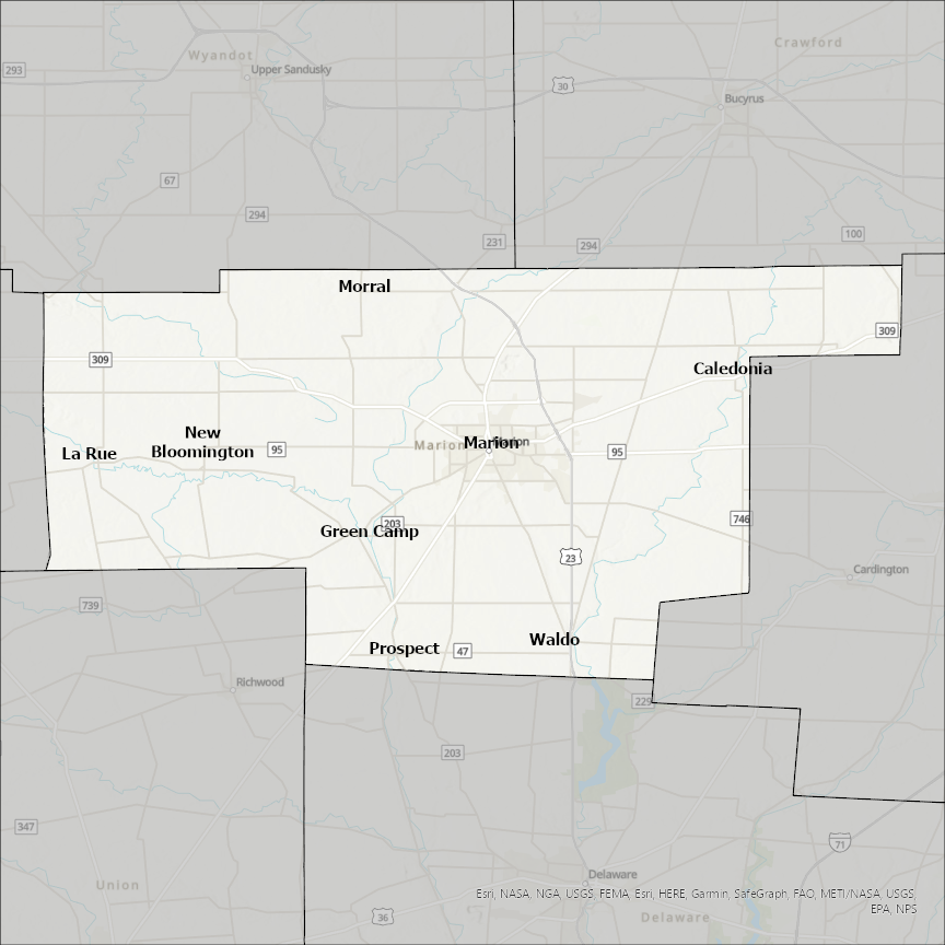Image of Marion