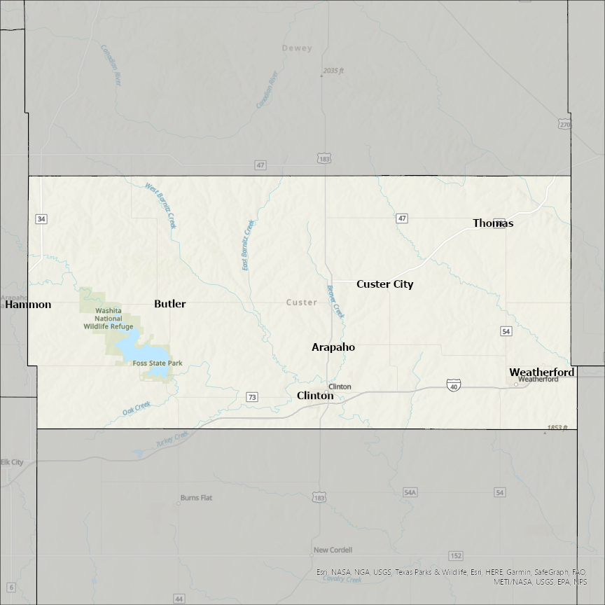 Image of Custer